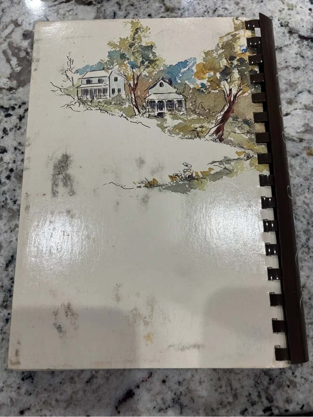 Vintage Community Cookbook Lot of 3 - Amish, Church & Home Storage Prep